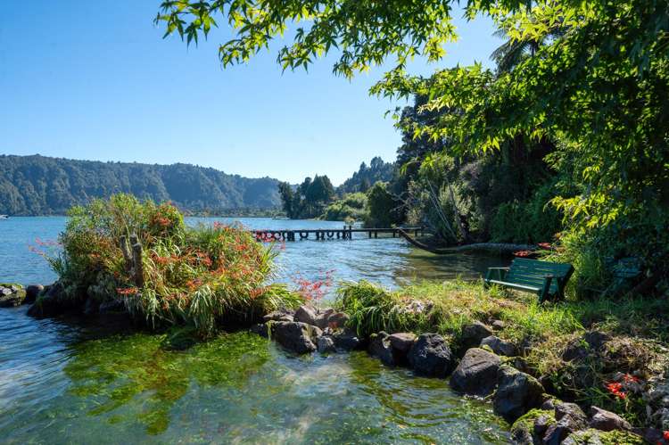 1581 State Highway 30 Rotoiti Forest_39