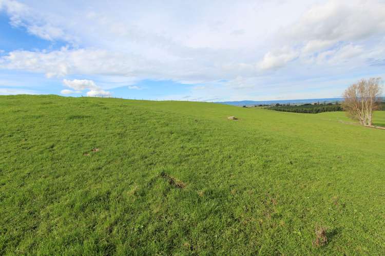 553 Buckland Road Matamata_7