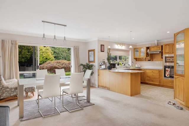 389 Old Highway Whakamarama_1