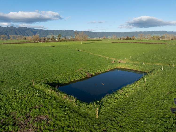 416 Wardville Road Matamata_24