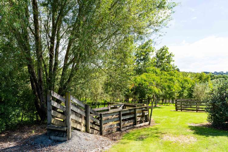 2246 Cove Road Mangawhai_22