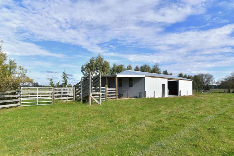 239 Kennedys Hill Road Cust_17