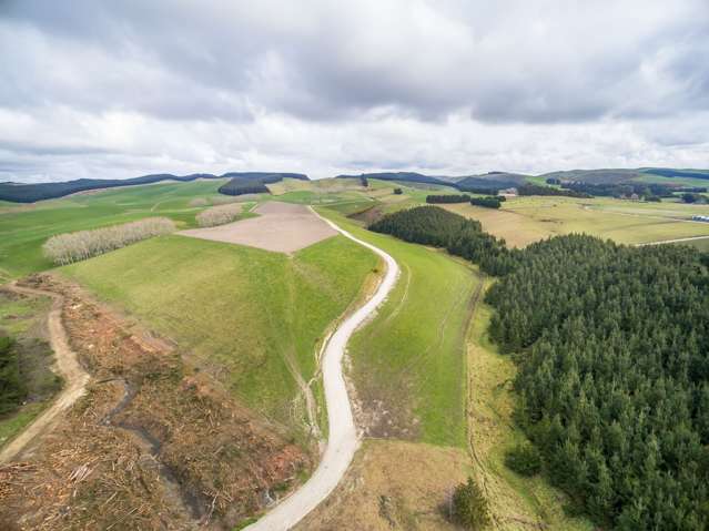 3840 Waimate Highway Morven_3