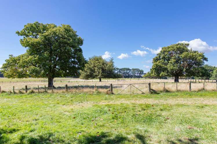 691 Top Grass Road, RD2 Dannevirke_12