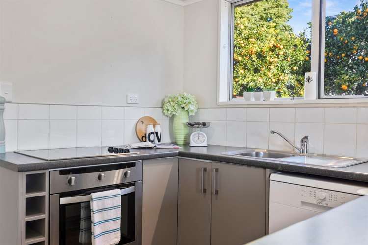 32b Tyrone Street Greerton_9