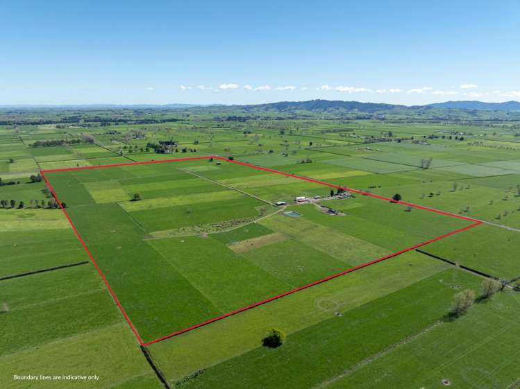 64 No 4 Road Morrinsville_25
