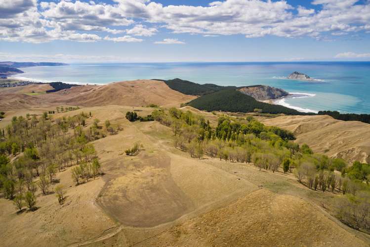 399 Te Apiti Road Waimarama_15