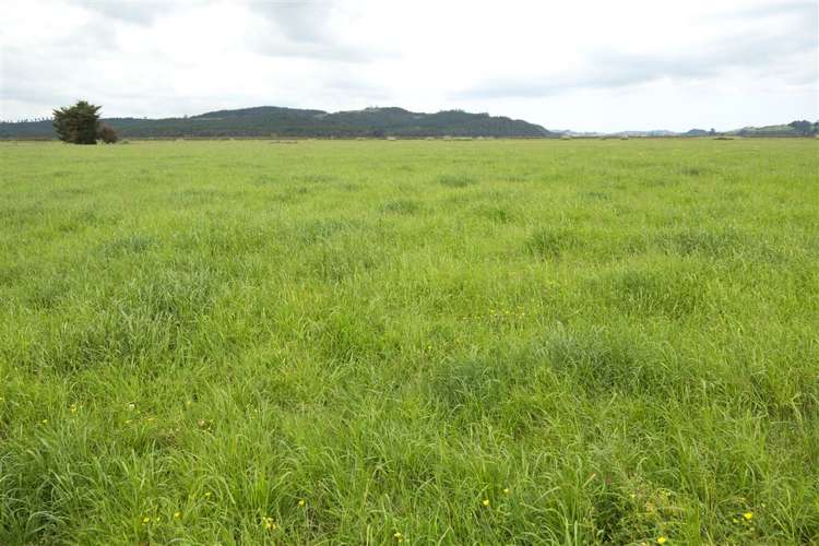 Green Road Parakai_6