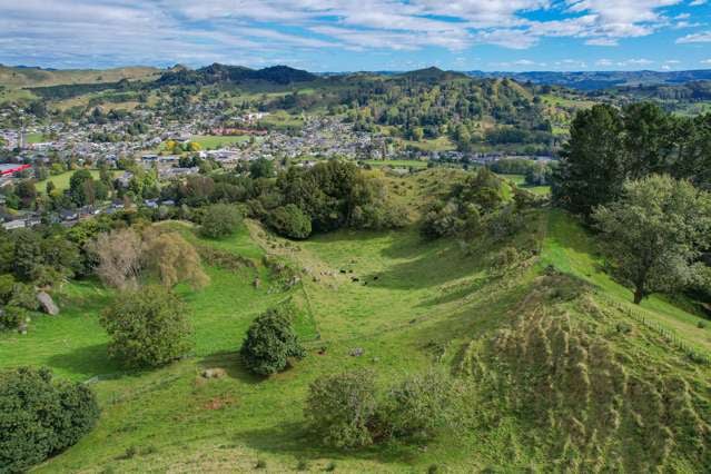 40 View Road Te Kuiti_3