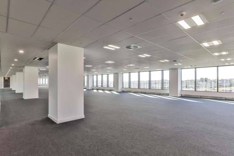 Office 1/6 Munroe Lane Albany_3