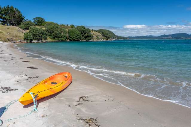 190 Pacific Ocean, Slipper Island (Whakahua) Thames_2