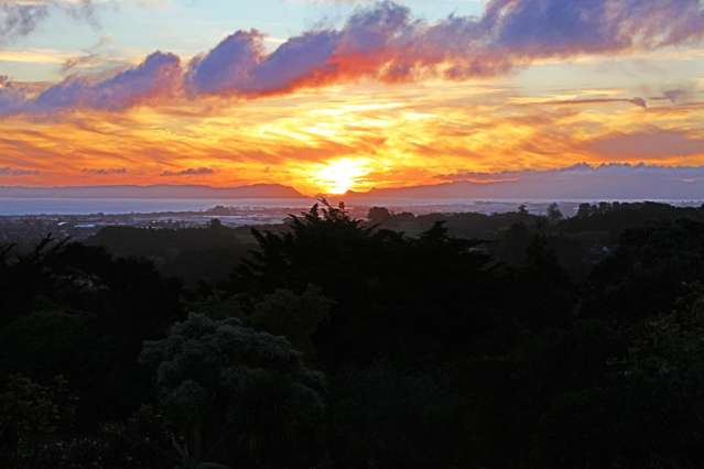 471 Redoubt Road Totara Park_2