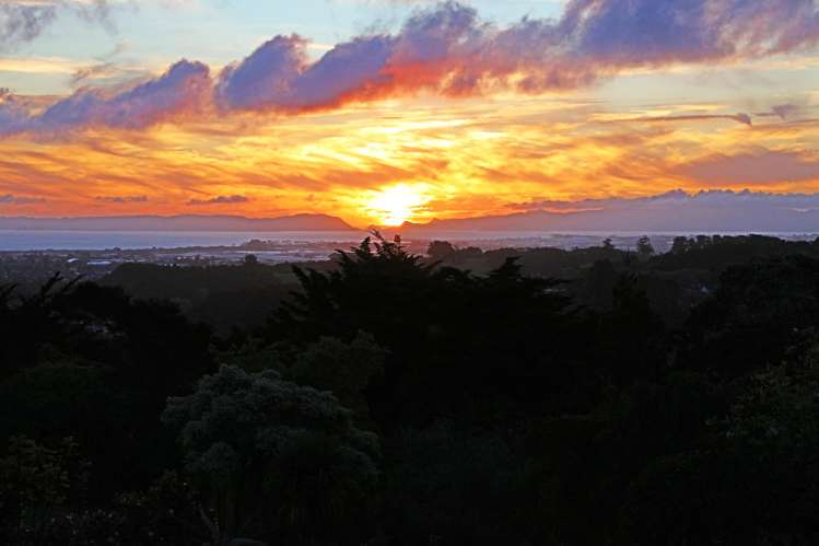 471 Redoubt Road Totara Park_1