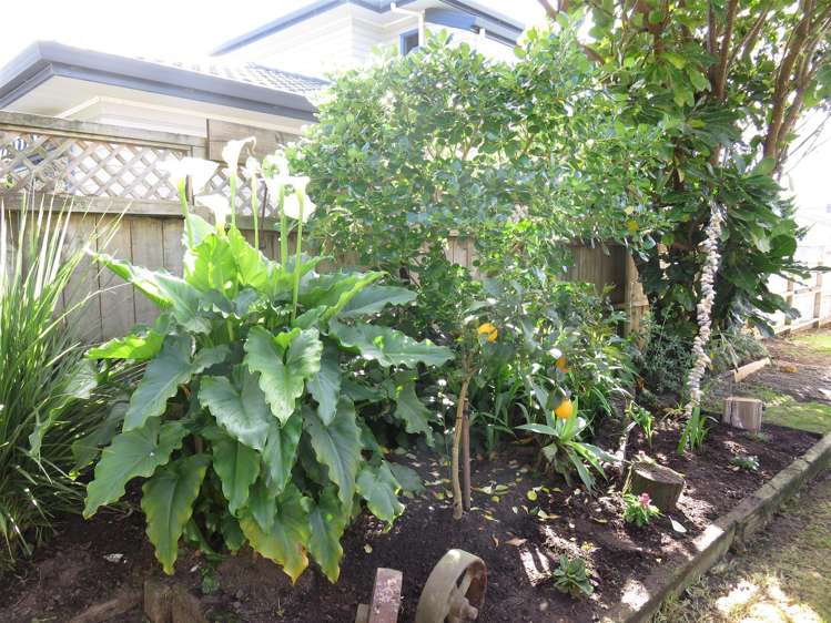 15 Marine Avenue Waihi Beach_25