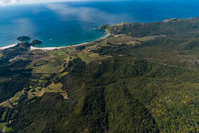 499 Medland Road Great Barrier Island (Aotea Island)_1