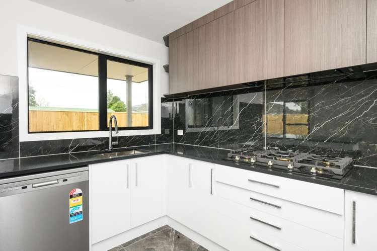 103A Featherston Street Takaro_2