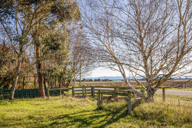 149 Oxford Road Fernside_19