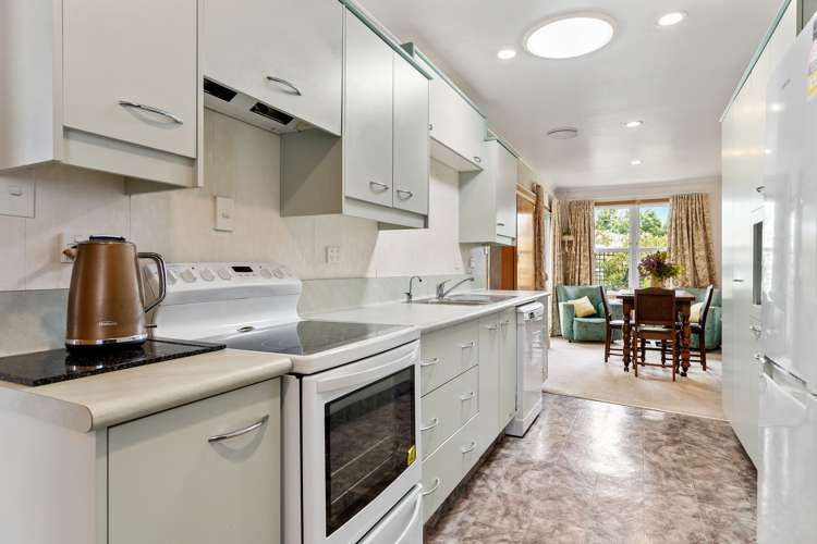 3 Carlton Street Te Aroha_9