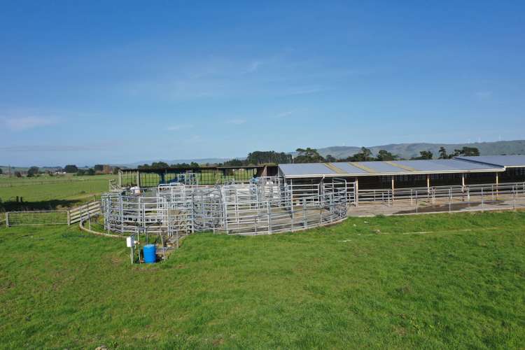 168 Range Road Woodville_3