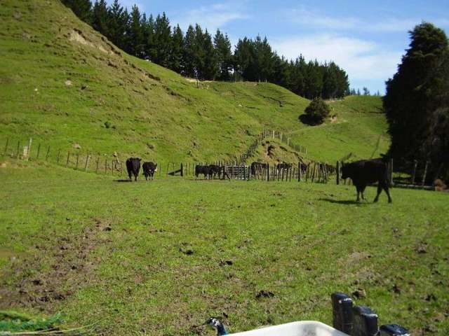 673 Hokoroa Road Tolaga Bay_3