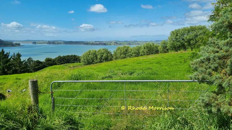 224A Petley Road Paparoa_37