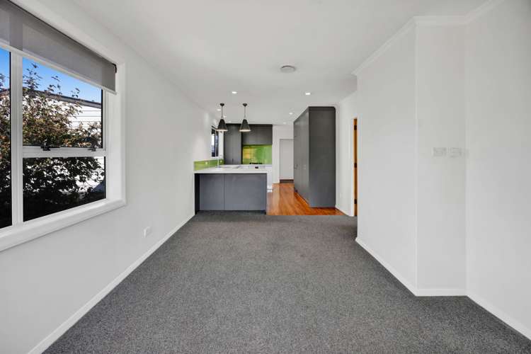 3a Waimea Street Westown_37