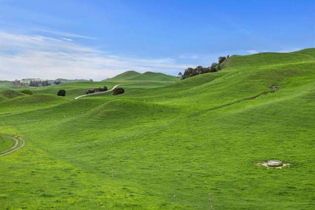 310 Paparamu Road Piarere_3