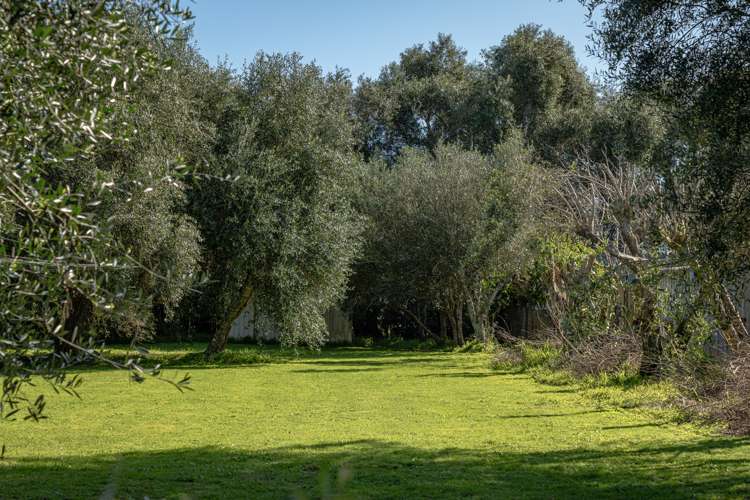 46 Mahanga Road Parua Bay_5