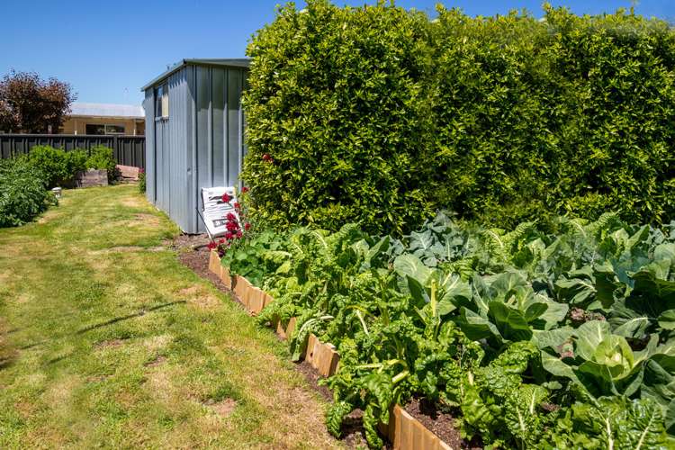 77 Hazlett Street Clyde_16