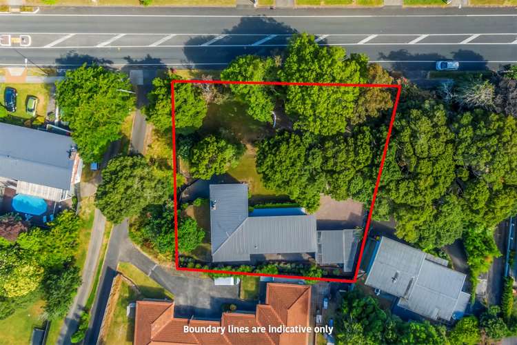 55 Hill Road Hillpark_12