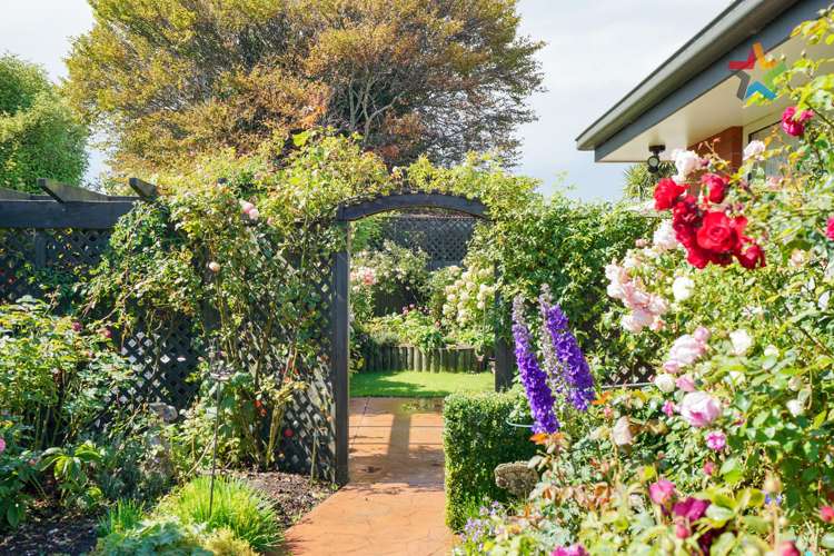 86 George Street Windsor_17