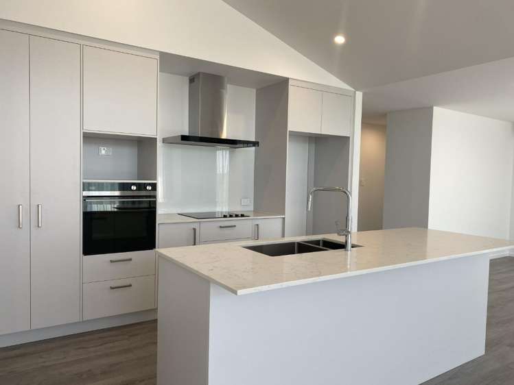 350 Whitehills Road Dairy Flat_1