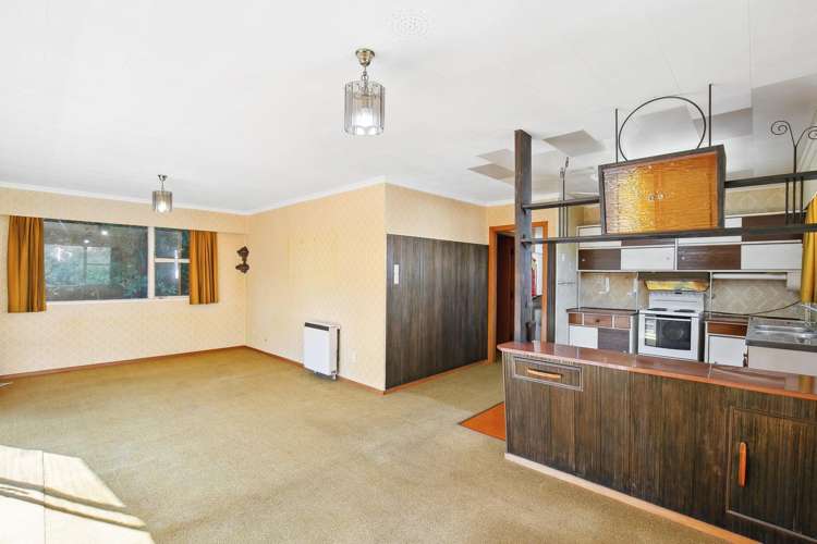 22 Wilberforce Street Miramar_2