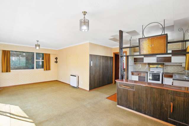 22 Wilberforce Street Miramar_2