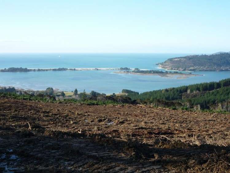 113 Wright Road Evansdale_8