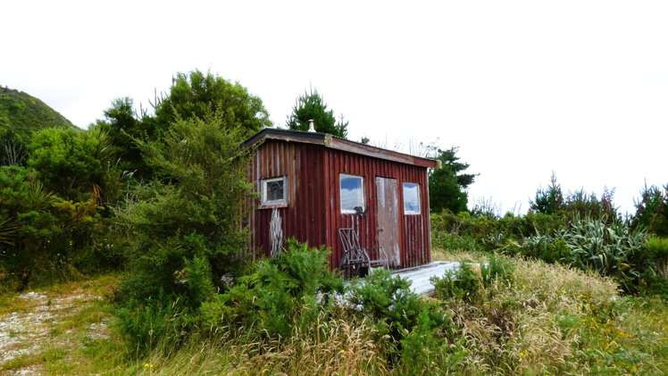 5296D State Highway 6 Punakaiki_13