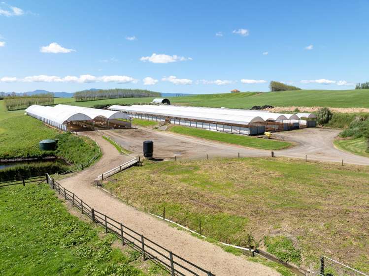 263 Paratu Road, Walton Matamata_20