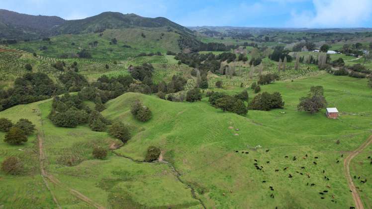1896 Omana Road Pukehuia_14