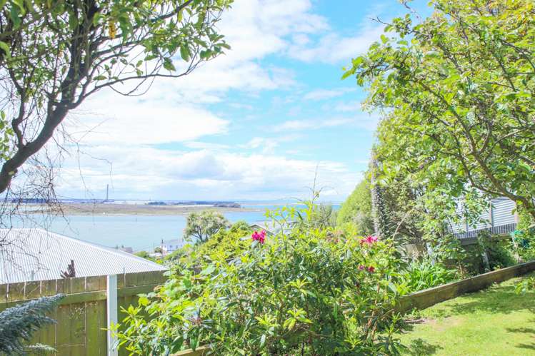 46 Walker Street Bluff_14