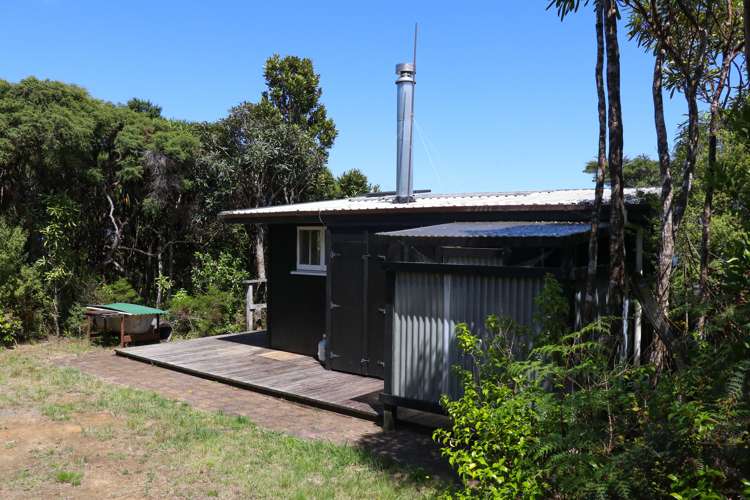 Whaanga Road Raglan_21