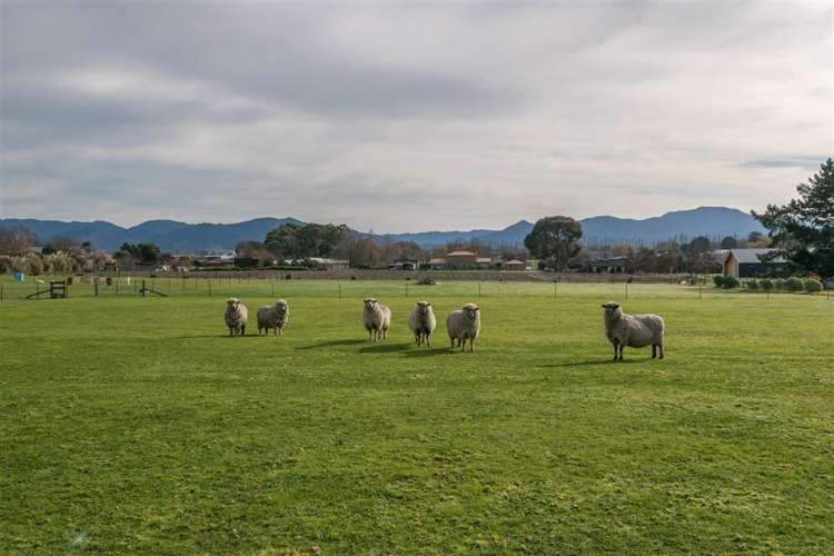 171 Wither Road Witherlea_27