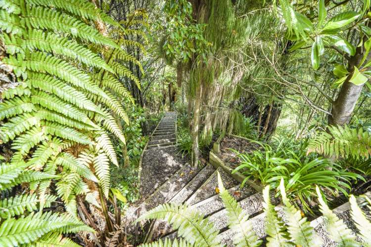 17 Montrose Crescent Huntington_20