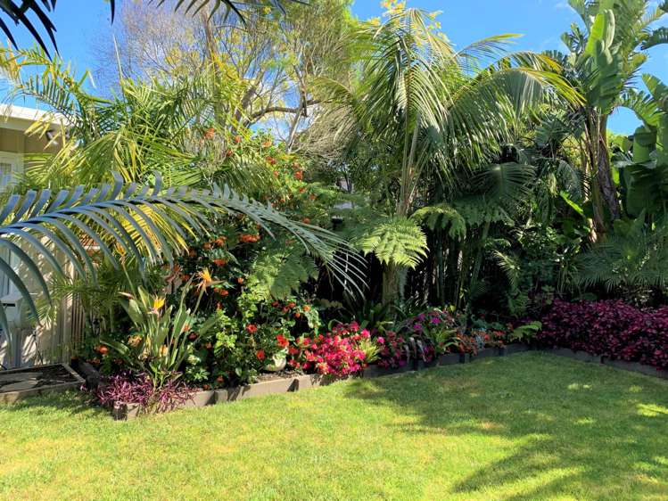 5/155A Grey Street Onehunga_9