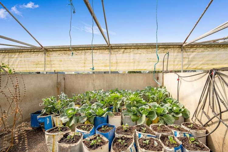 1638 State Hwy 12 Paparoa_22