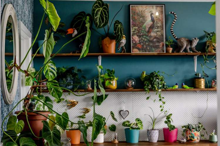 84 Maori Creek Road Marsden_15