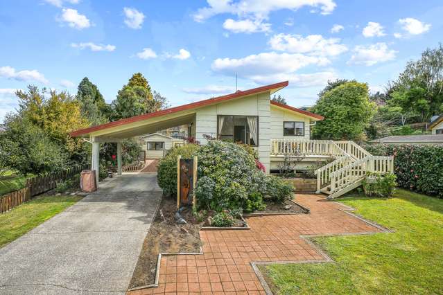 46 Kowhai Street Hamilton Lake_1