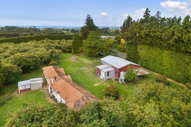 232 Wharawhara Road Aongatete_1