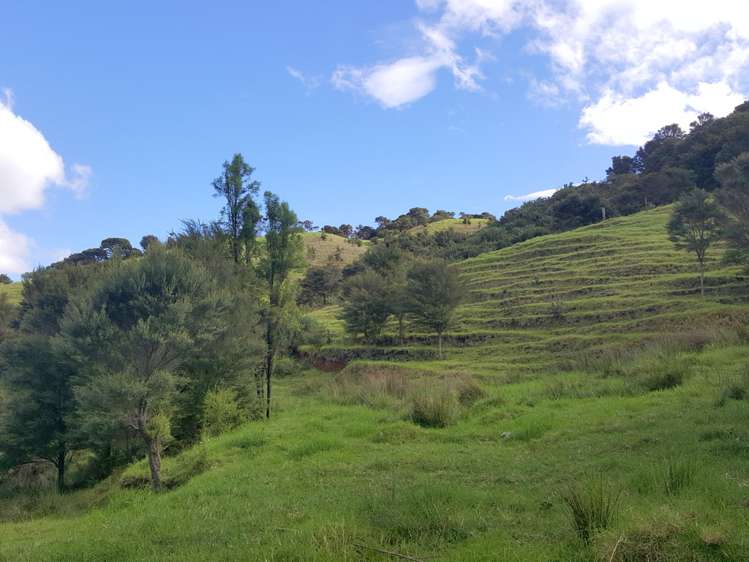 37 Crene Road Kaitaia_6