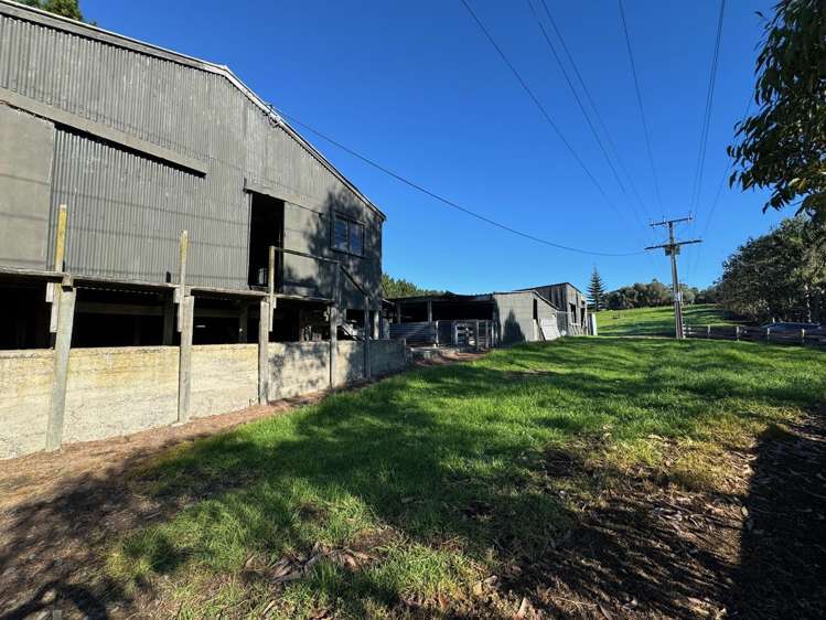 35 Kai Iwi Lakes Road Dargaville_6