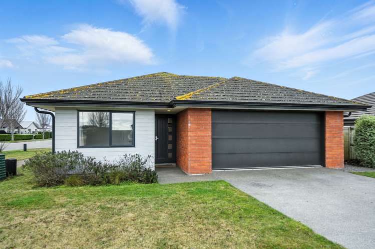 73 Barnes Street Pegasus_17